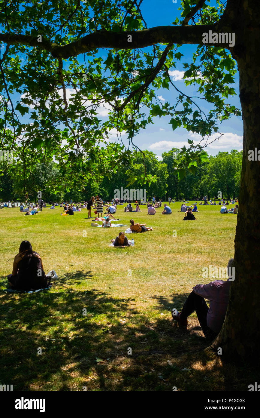 Londra, Inghilterra. Il 22 giugno 2018. St James Park si riempie di turisti e lavoratori ufficio avente il pranzo. Questo tempo soleggiato è detto di continuare per i prossimi giorni. ©Tim anello/Alamy Live News Foto Stock