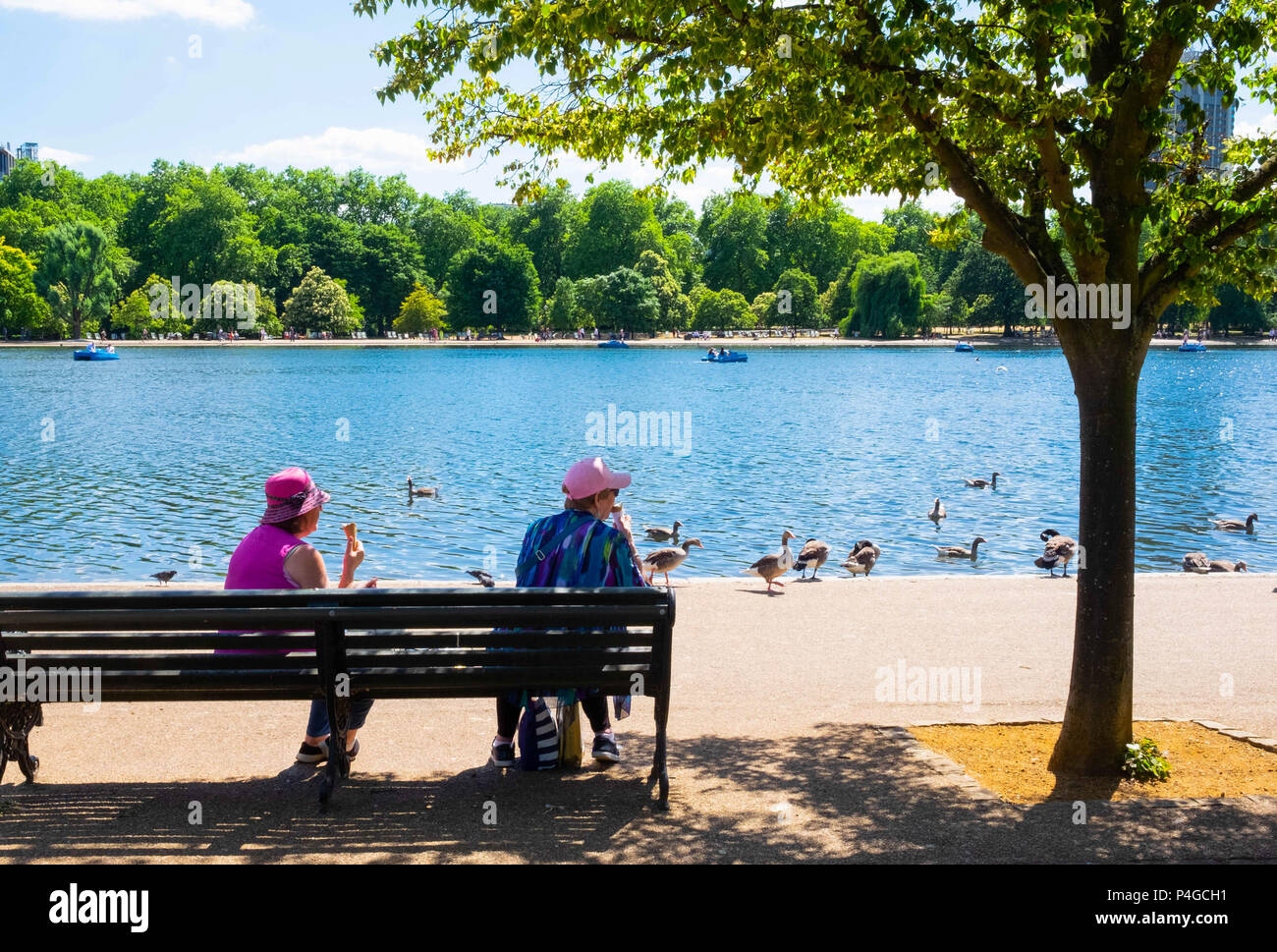 Londra, Inghilterra. Il 22 giugno 2018. Due signore gustare un gelato in Hyde Park. Questo tempo soleggiato è detto di continuare per i prossimi giorni. ©Tim anello/Alamy Live News Foto Stock