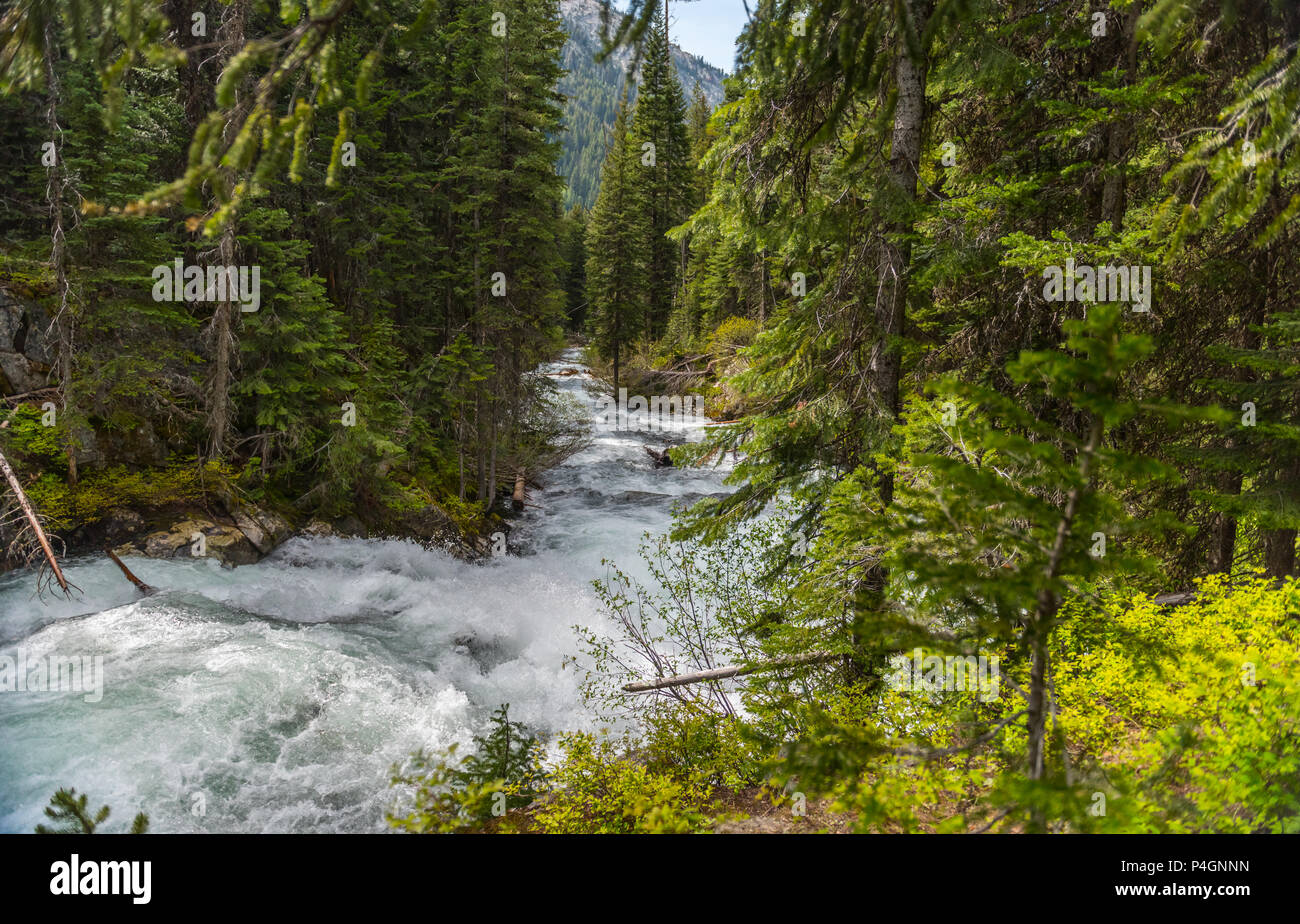 Il selvaggio e Scenic Lostine fiume nel Wallowa Whitman Foresta Nazionale di nord-est Oregon Foto Stock