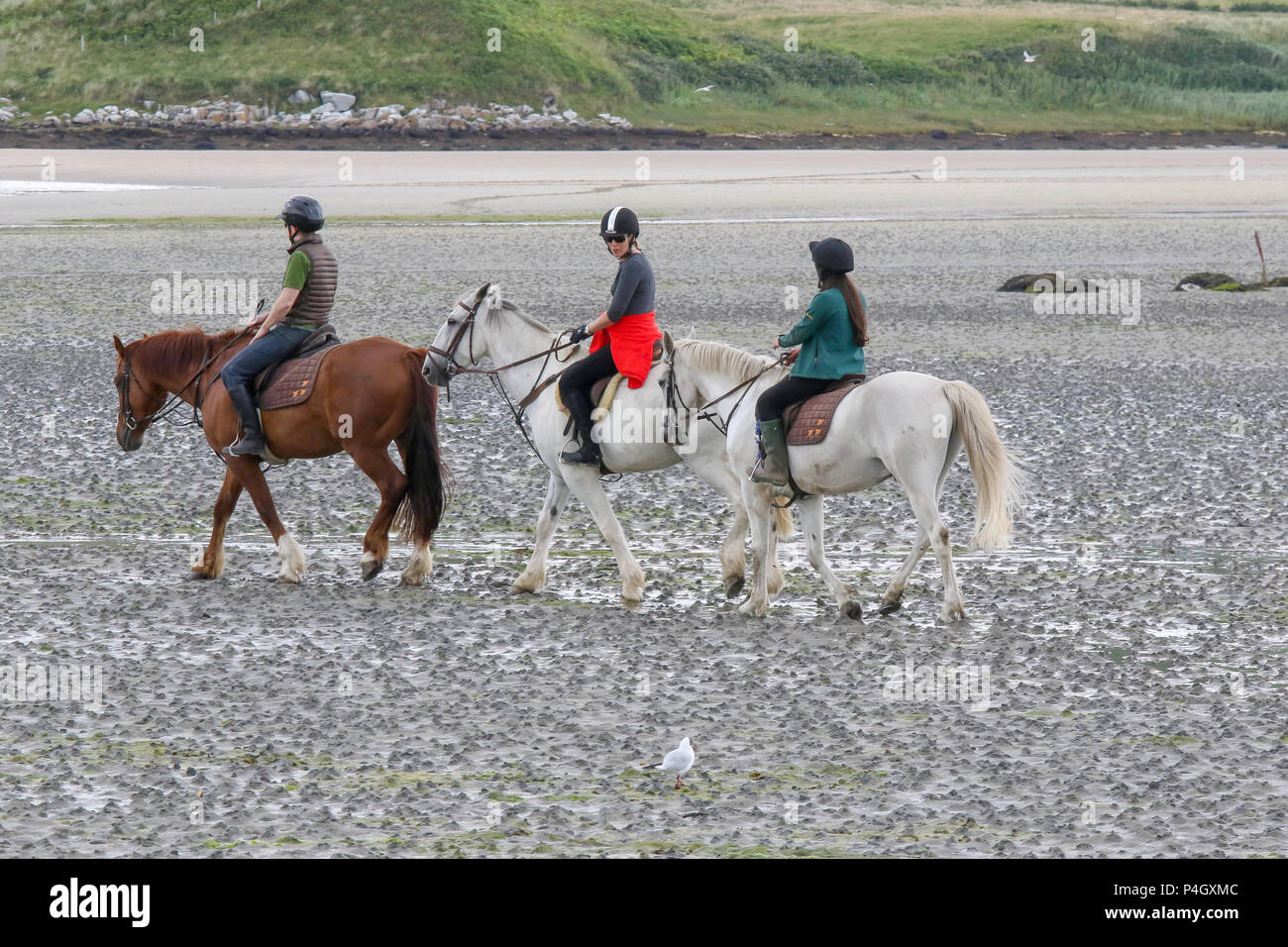 Tre cavalieri e cavalli sulle sabbie della Baia di Sheephaven Dunfanaghy County Donegal Irlanda Foto Stock