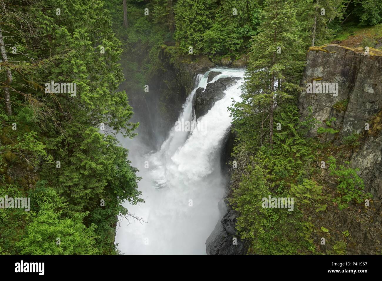 La lussureggiante foresta pluviale cascata in Elk Falls Parco provinciale sull'Isola di Vancouver British Columbia Canada Foto Stock