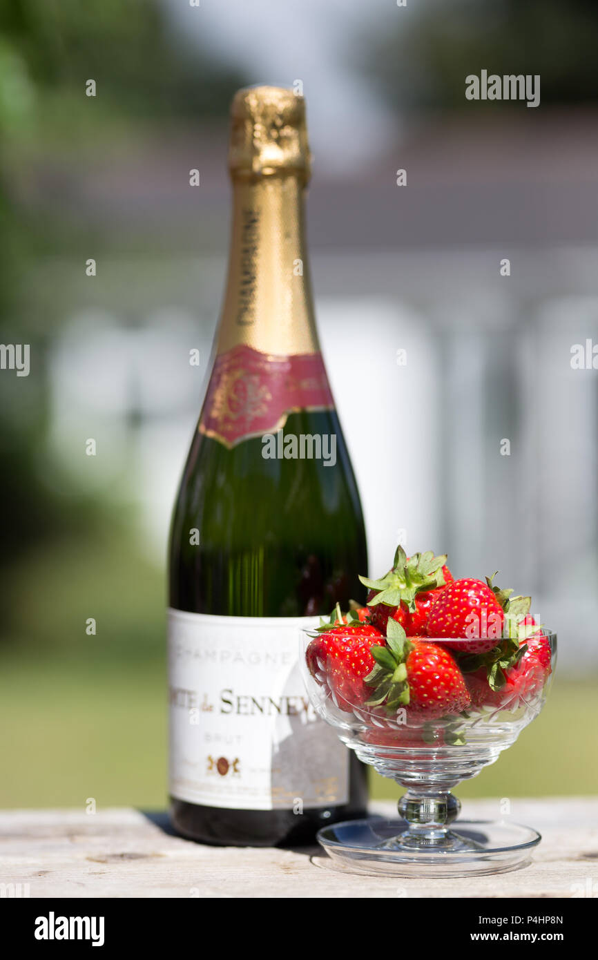 Primo piano di un piatto di fragole fresche e una bottiglia di champagne non aperta all'aperto in un giardino inglese sotto il sole estivo. Foto Stock