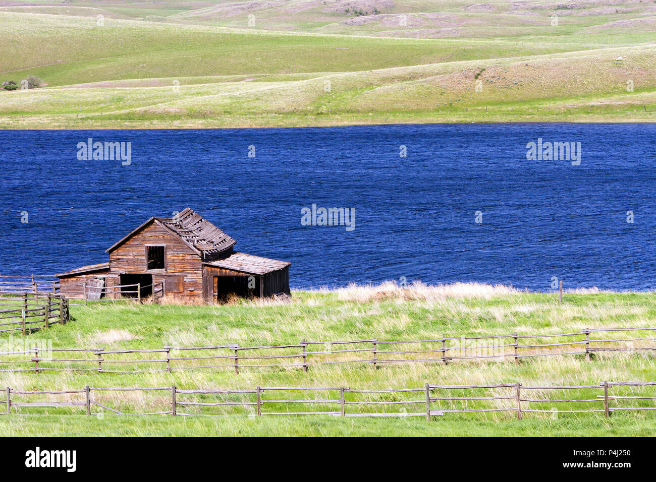 Un vecchio abbandonato legno rustico ranch house fienile sulla separazione vicino Lago di Kamloops, British Columbia, Canada. Foto Stock