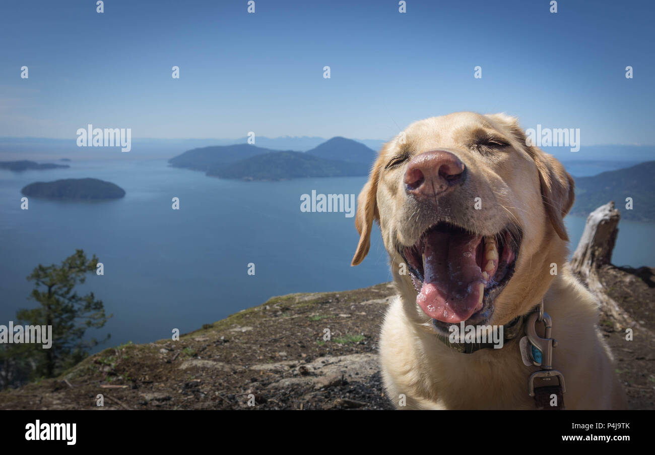 Sorriso al mondo Foto Stock