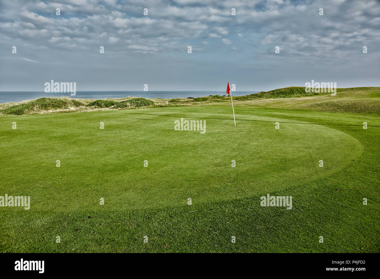 Campi da golf lungo il mare Foto Stock