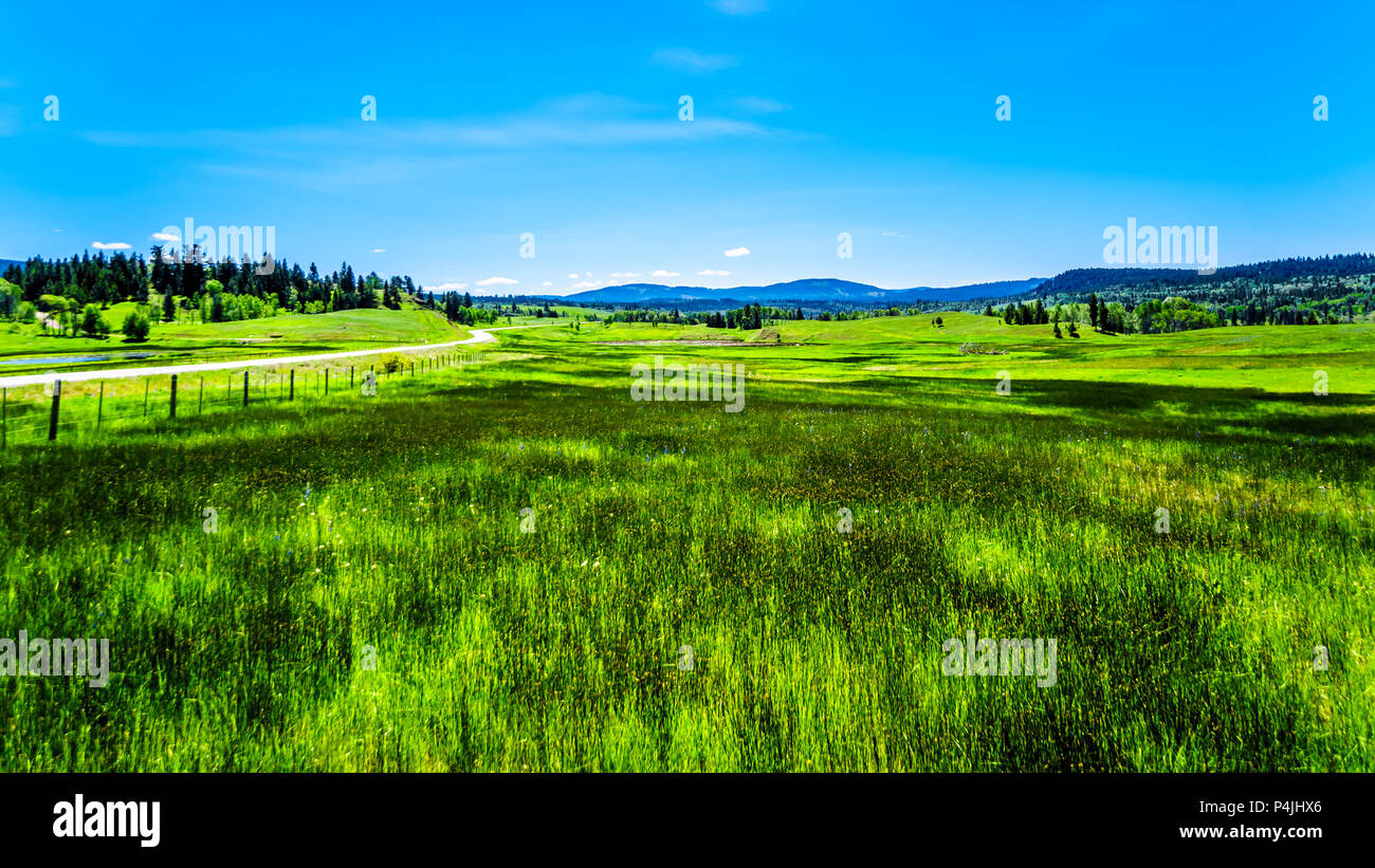 Bellissimo paesaggio naturale lungo il percorso turistico di autostrada 5A da Merrit a Princeton nella splendida British Columbia, Canada Foto Stock