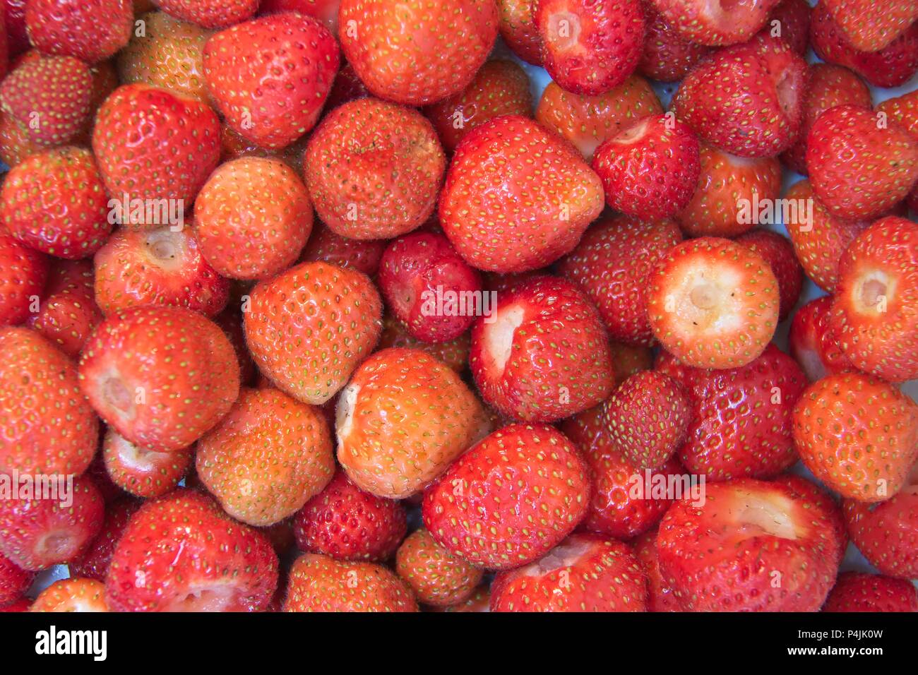 Appena raccolte le fragole in inglese senza peduncolo. Foto Stock