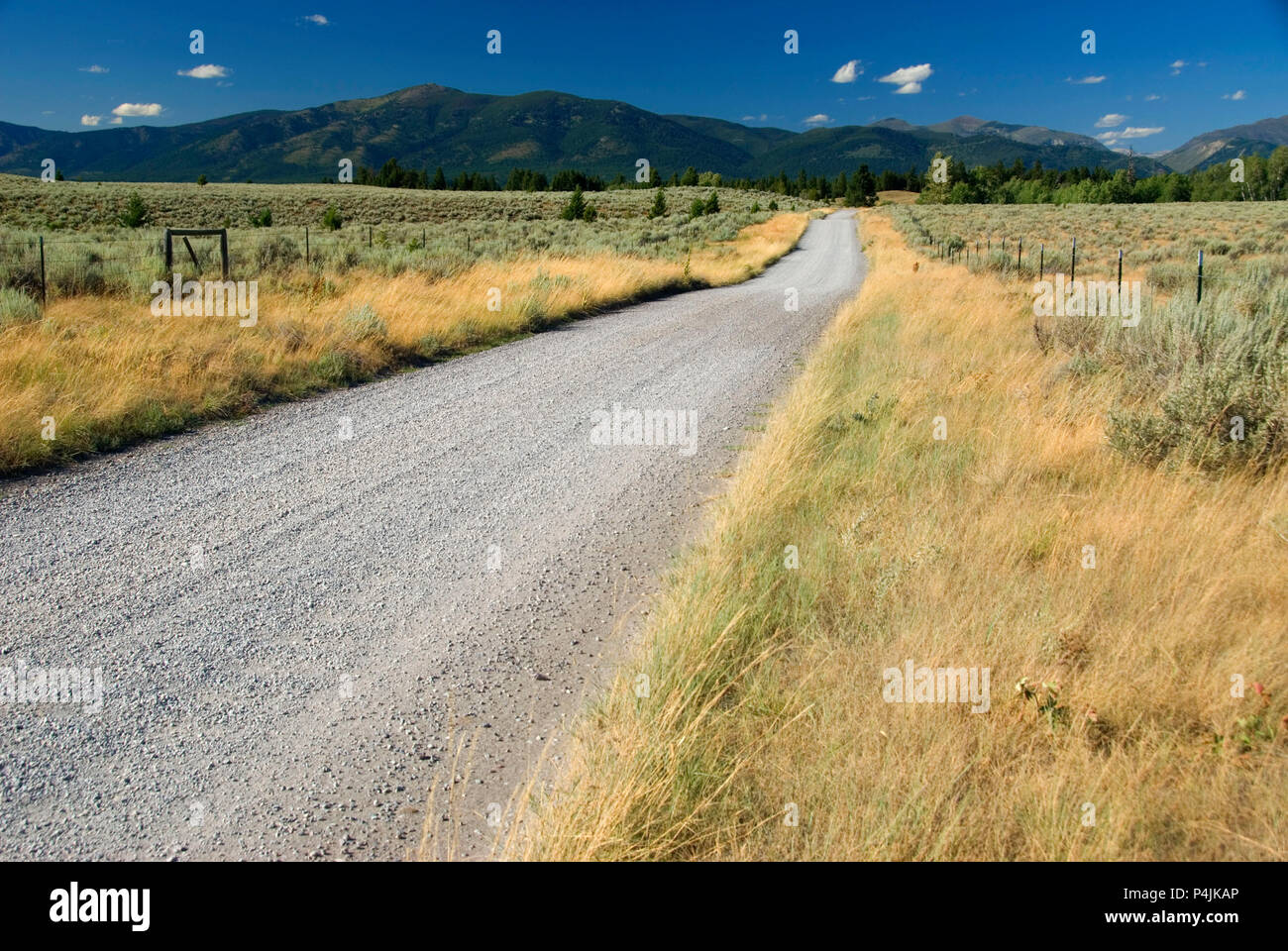 Strada di accesso, Marrone del lago pesca sito di accesso, Powell County, Montana Foto Stock