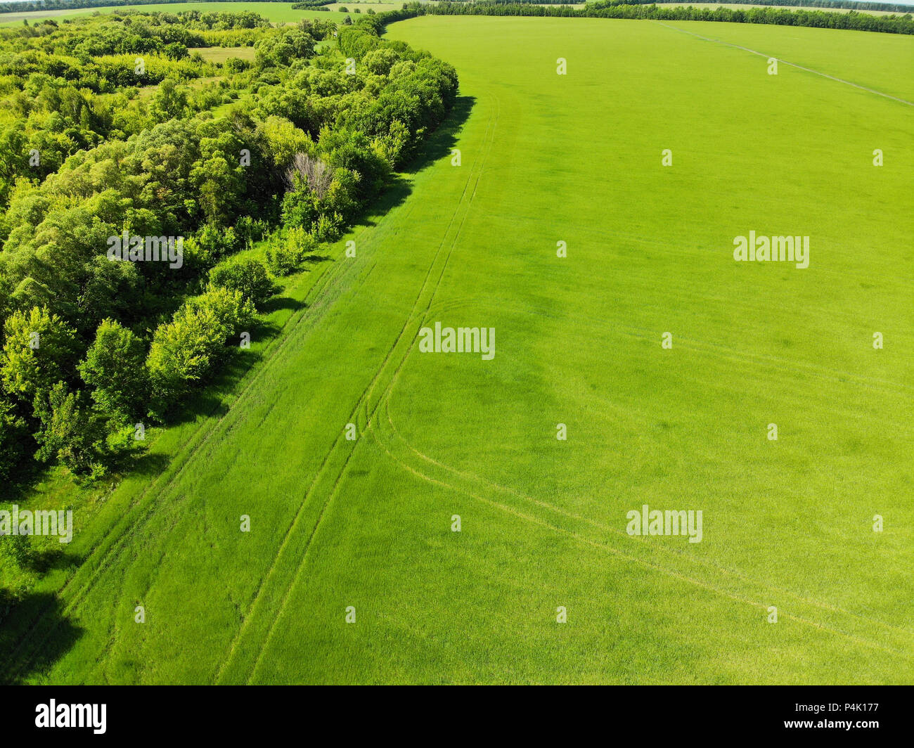 Vista della campagna in estate nella regione di Lipetsk in Russia Foto Stock