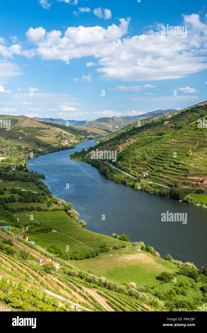 Il paesaggio del fiume Douro regionin Portogallo - Vigneti Foto Stock