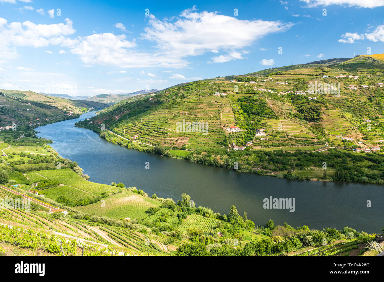 Il paesaggio del fiume Douro regionin Portogallo - Vigneti Foto Stock