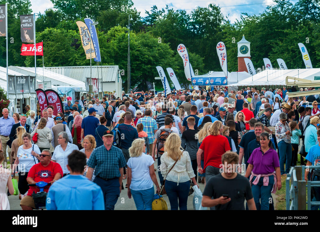 Il Lincolnshire Show - Lincoln, Lincolnshire, Regno Unito Inghilterra | folla gregge a un grande paese mostrano in giugno in una delle più calde giornate estive dell'anno Foto Stock