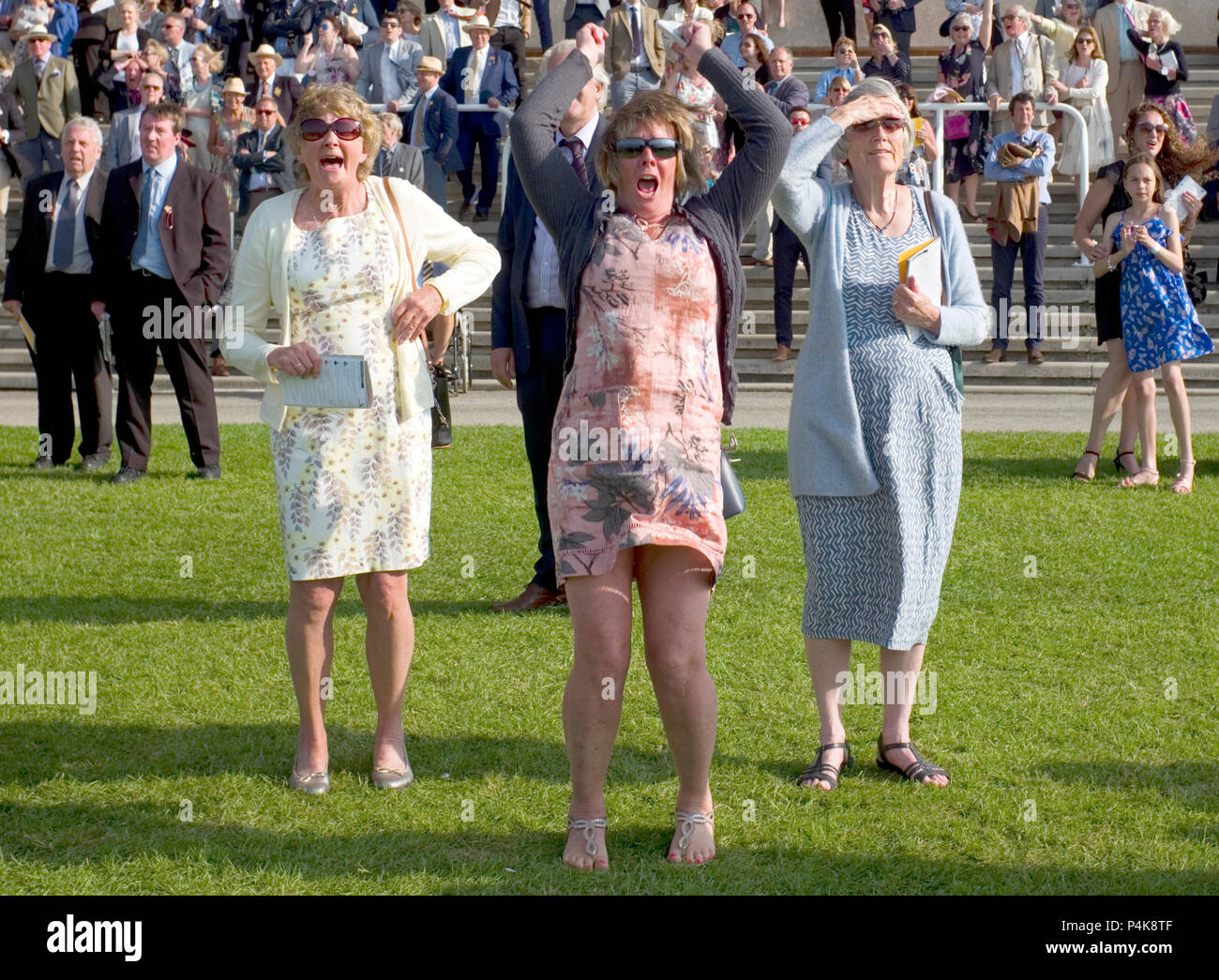 Racegoers reagire alla fine di una corsa di cavalli al Goodwood Race Course, vicino a Chichester in Gran Bretagna il 26 maggio 2018 Foto Stock