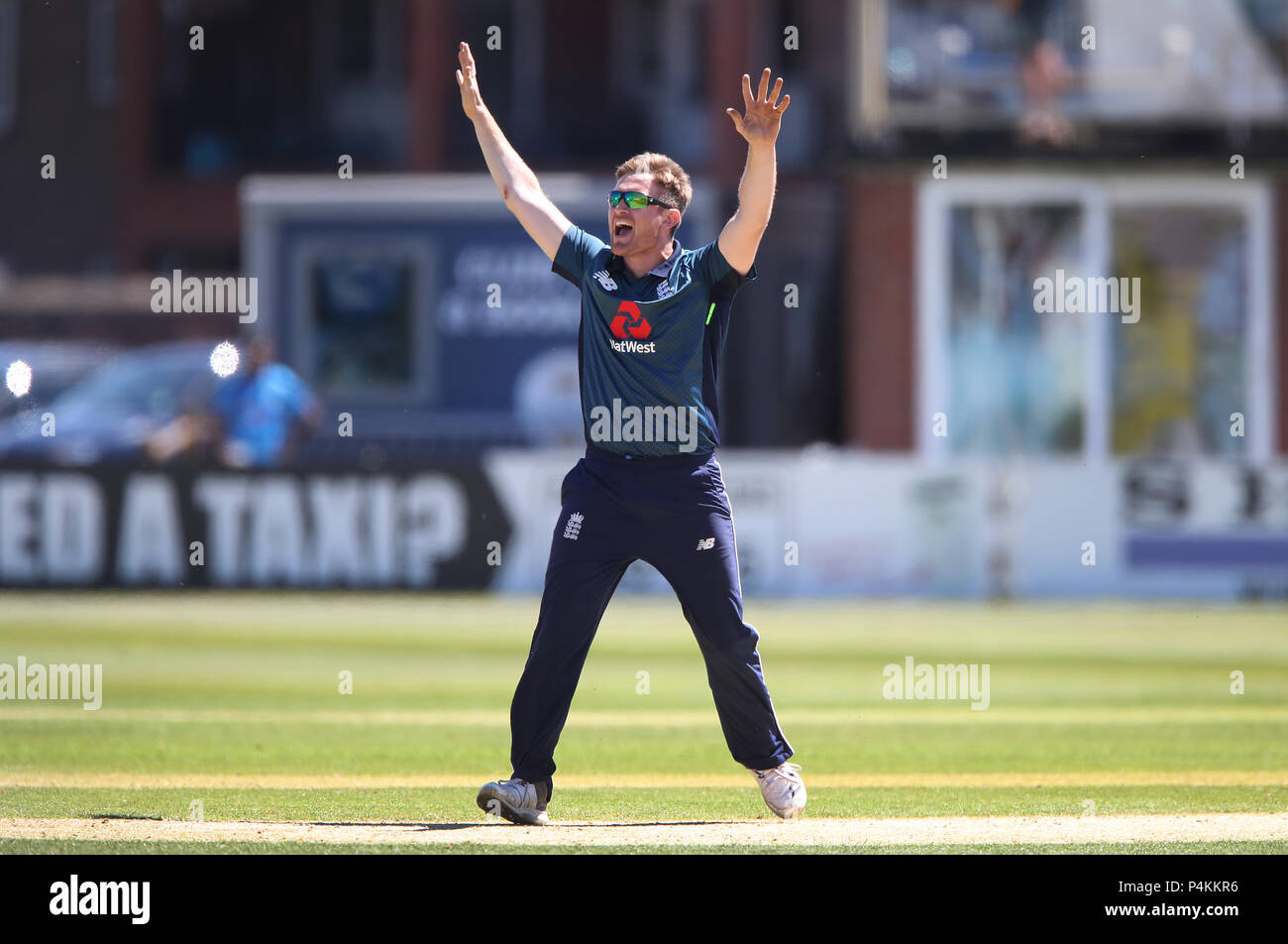 Inghilterra Lions bowler Liam Dawson celebra il trapping India un battitore Gowtham Krishnappa durante il Tri serie corrispondono al 3AAA County Ground, Derby. Foto Stock