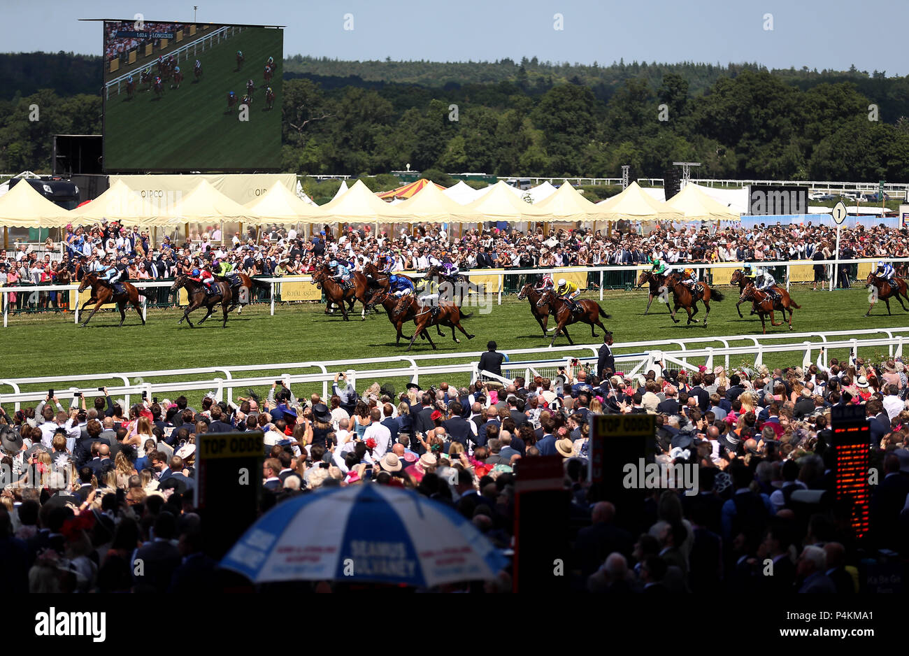 Edizione principale cavalcato da fantino James Doyle (centro, il giallo e il nero Seta) sul modo di vincere la Albany Stakes durante il giorno quattro di Royal Ascot a Ascot Racecourse. Foto Stock