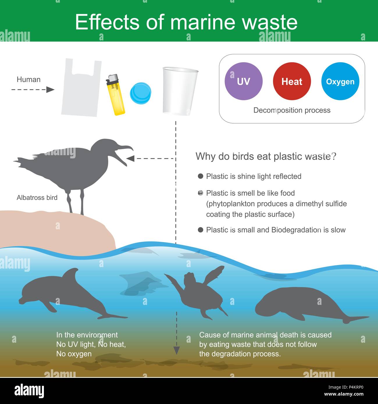 Cause di animali marini la morte è causata da mangiare lo scarto che la dose di non seguire il processo di degradazione e causa di Albatross bird morte, poiché il rullo di trascinamento ausiliario Illustrazione Vettoriale