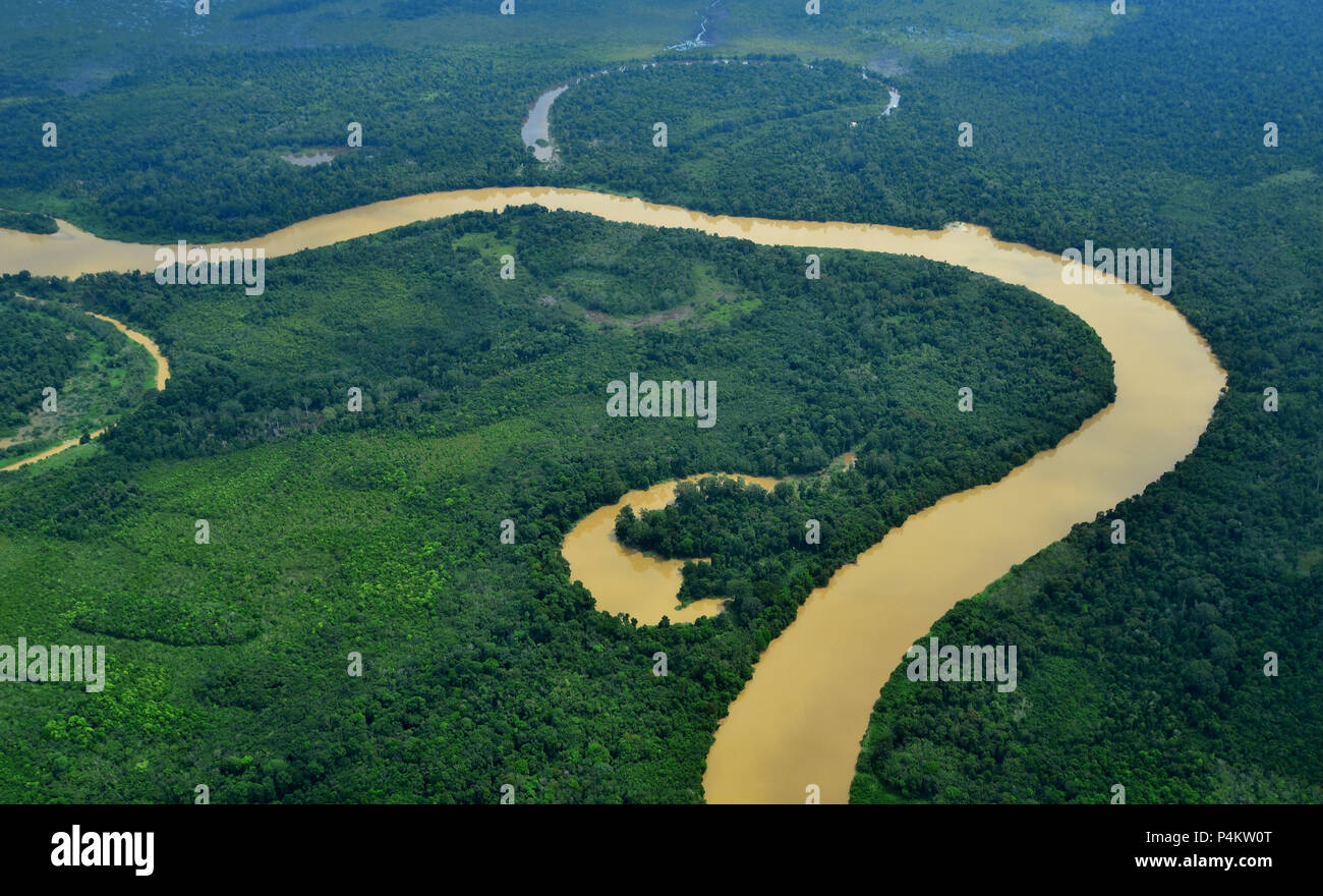 Antenna in del Borneo centrale Foto Stock