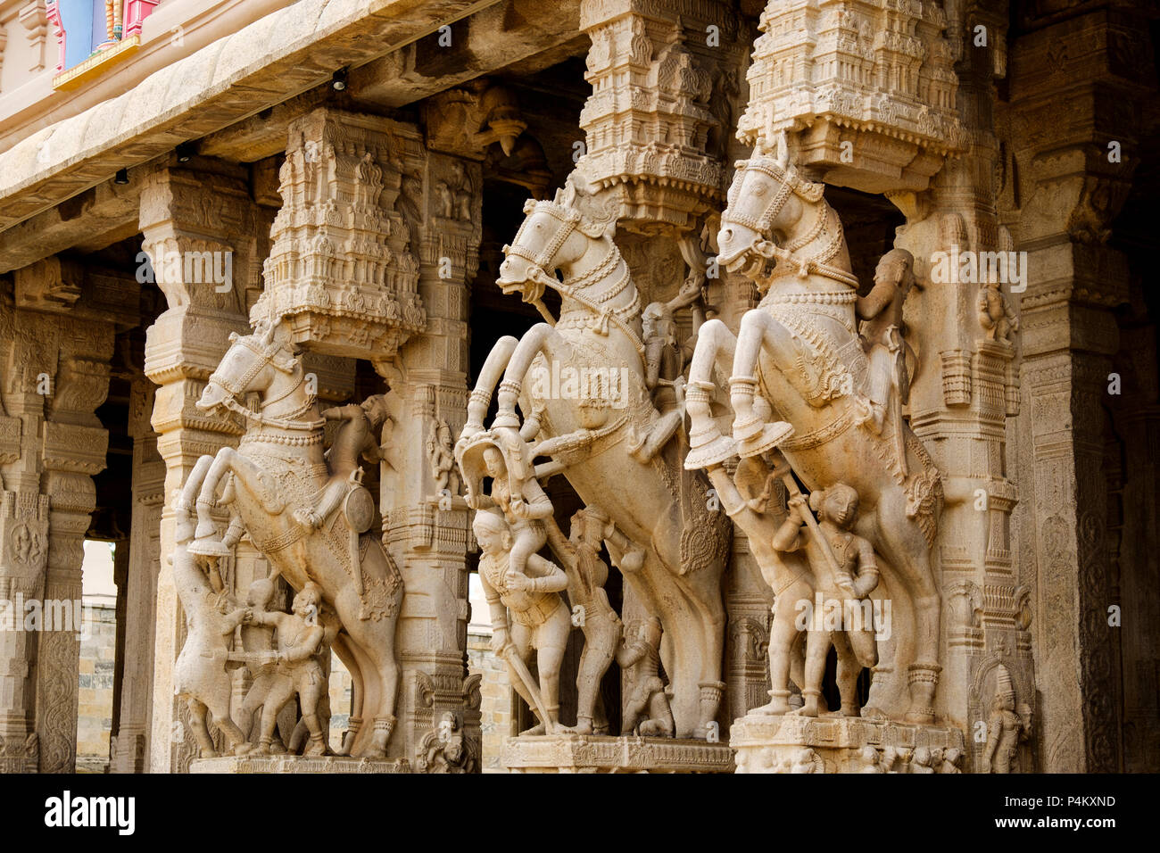 Dravidian- stile pilastri scolpiti a Sesharaya mandapa, Sri Ranganathar Swamy Tempio Srirangam, Tiruchirappalli distretto, Tamil Nadu, India. Foto Stock