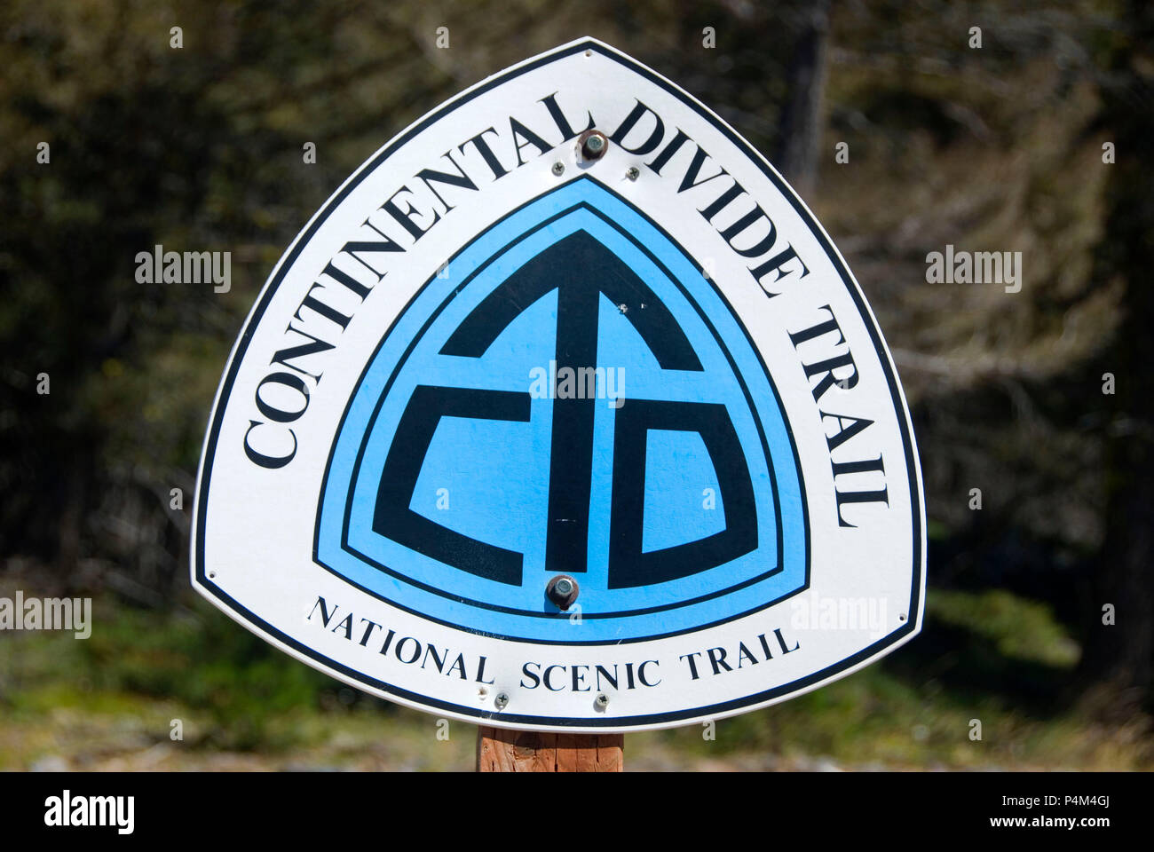 Continental Divide National Scenic Trail (CDT) segno, Helena National Forest, Montana Foto Stock