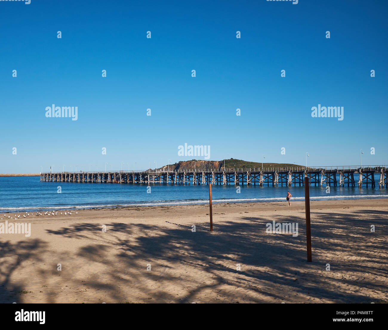 Vista del molo in legno dal jetty spiaggia con Muttonbird isola sullo sfondo di un cielo senza nuvole, Coffs Harbour, Nuovo Galles del Sud, Australia Foto Stock