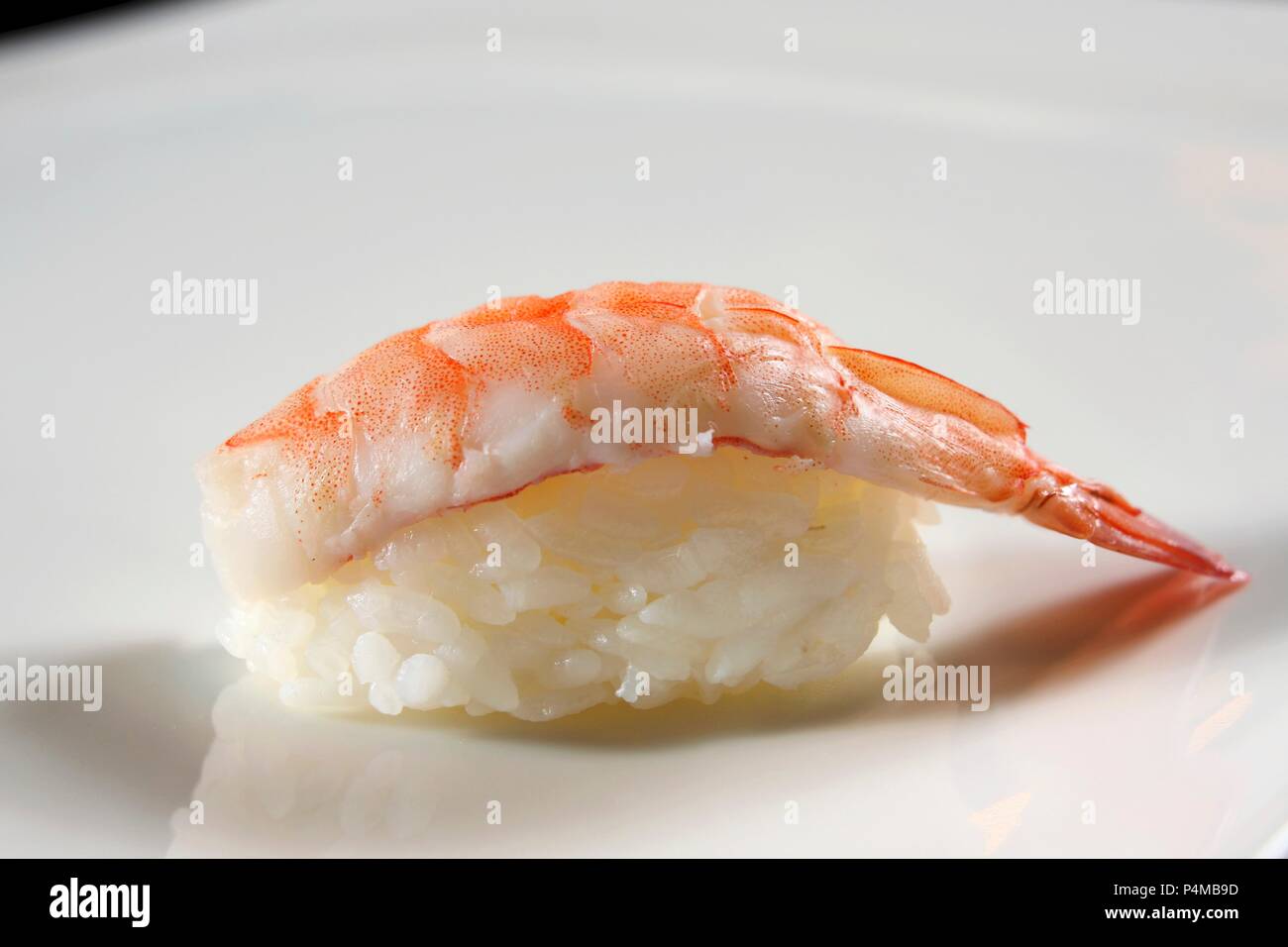 Un ebi sushi: nigiri sushi con gamberi Foto Stock