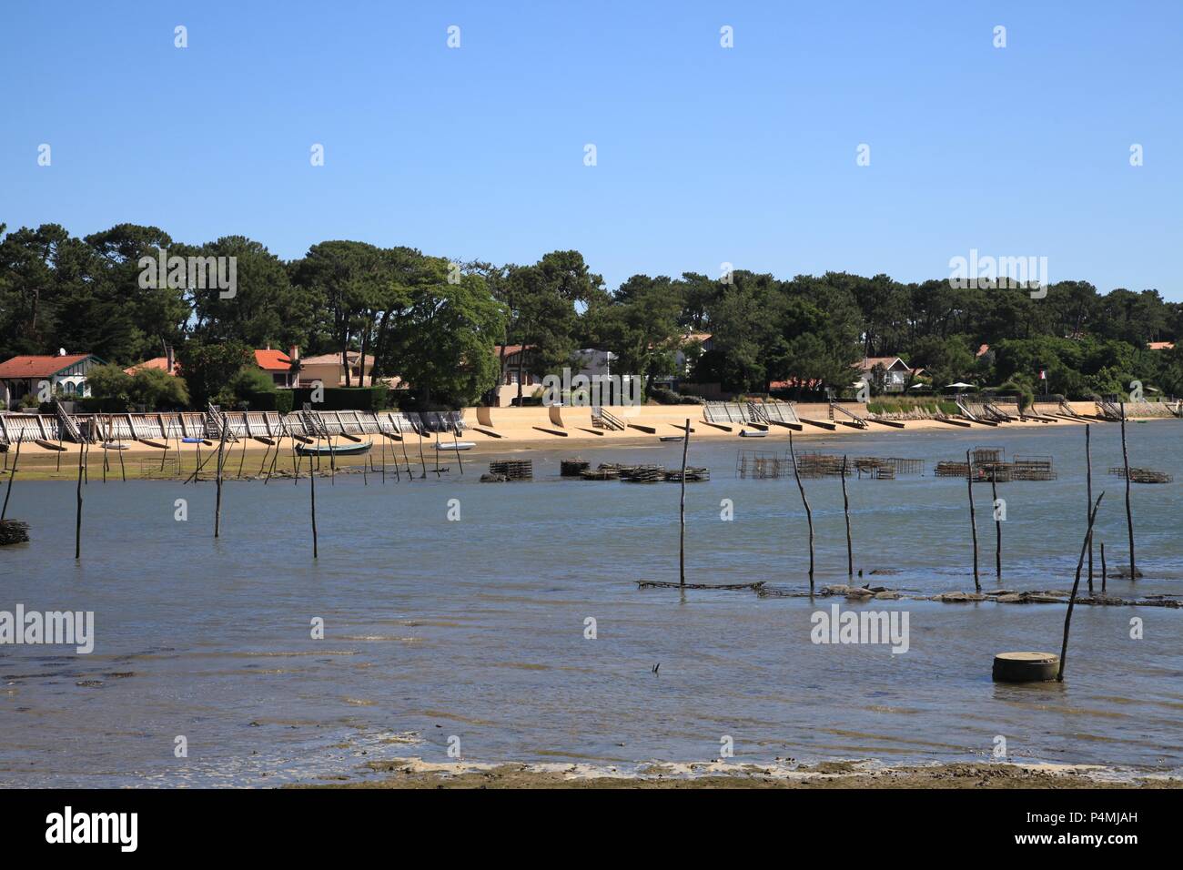 Oyster cultura nel villaggio di Piraillan, Bassin d'Arcachon, Gironde, Francia Foto Stock