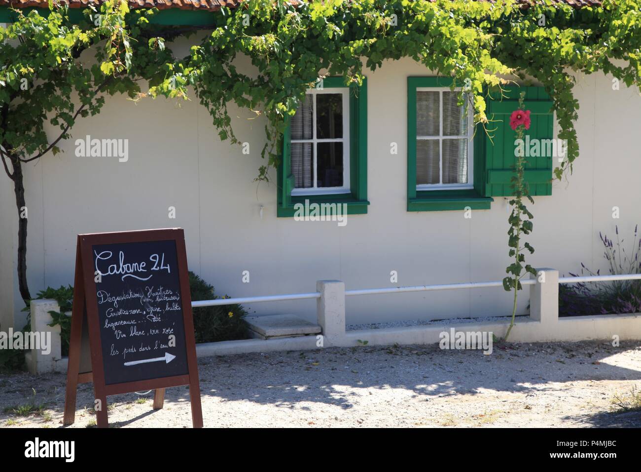 Oyster cultura nel villaggio di Piraillan, Bassin d'Arcachon, Gironde, Francia Foto Stock