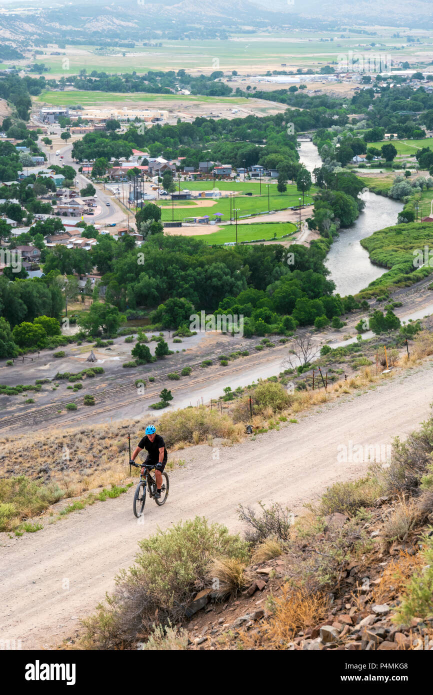 Mountain Biker si arrampica 'S' montagna; Tenderfoot montagna; Salida; Colorado; USA Foto Stock