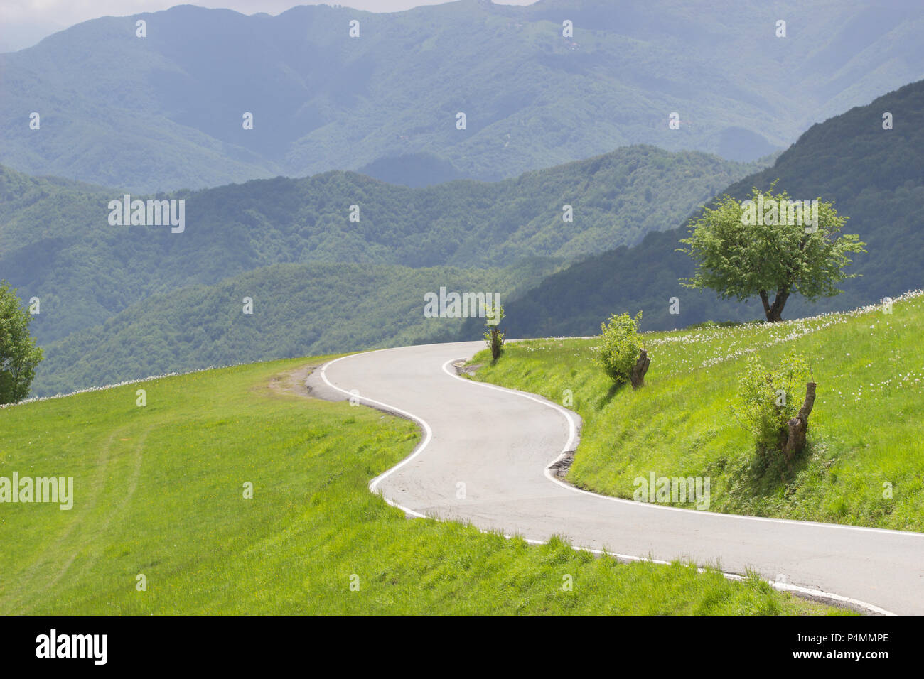 Curva di avvolgimento strada rurale nel verde dei prati e delle bellissime vedute montane in campagna in primavera naturale Foto Stock