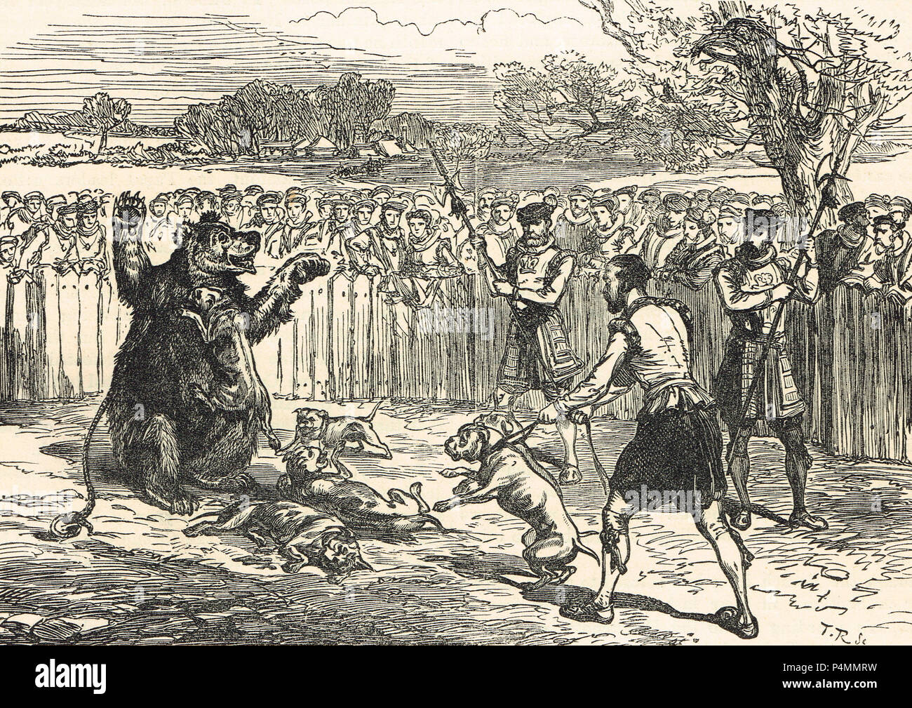 Bear baiting in Età elisabettiana Foto Stock