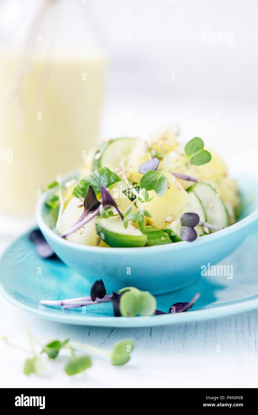 Insalata di patate con il cetriolo e curry & dressing di yogurt Foto Stock
