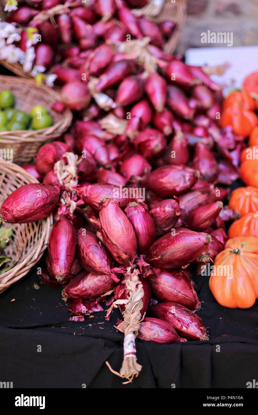 Una treccia di cipolle rosse da Tropea su un piedistallo di mercato Foto Stock