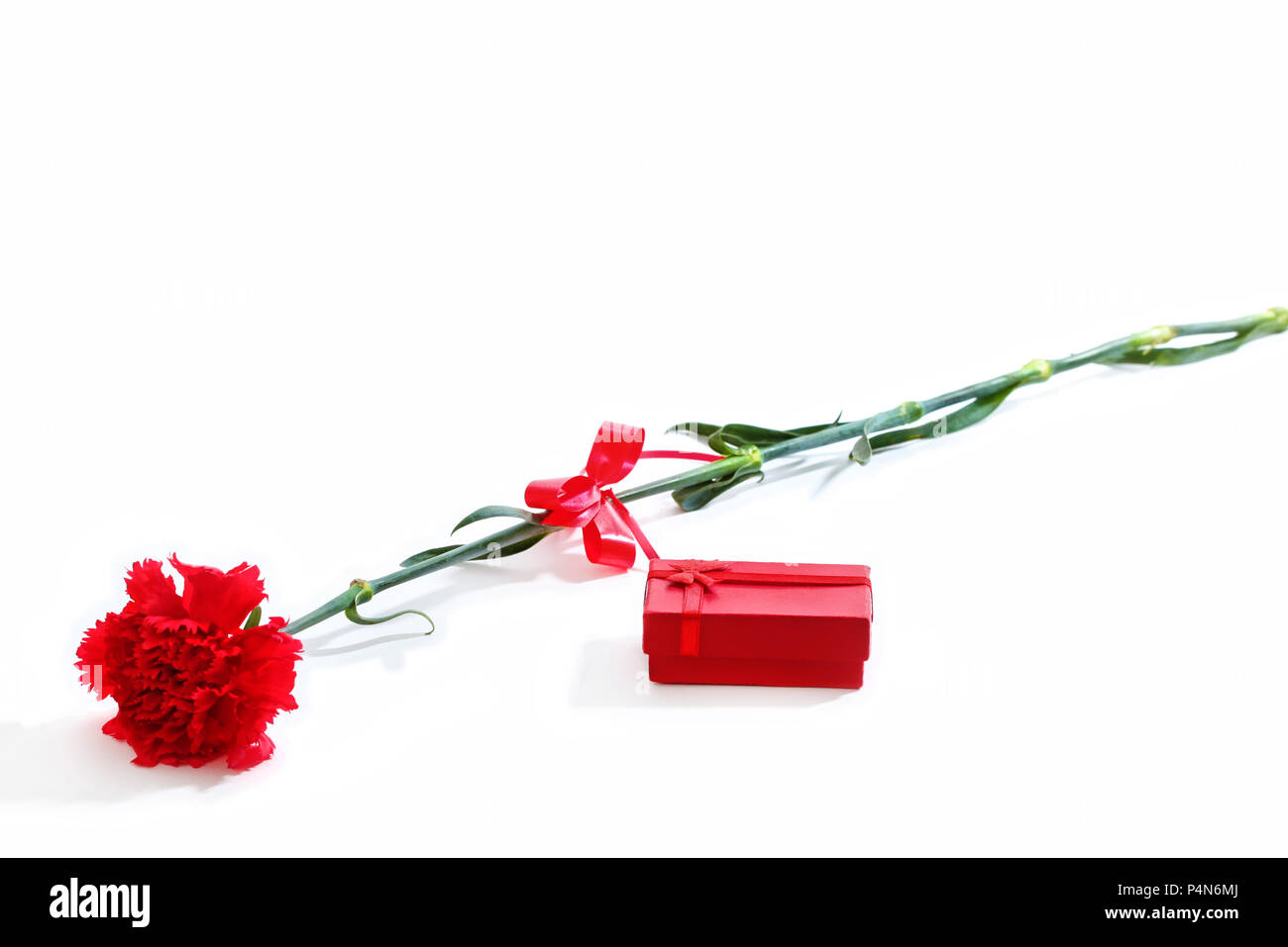 Red Carnation con confezione regalo rossa, isolato su sfondo bianco Foto Stock