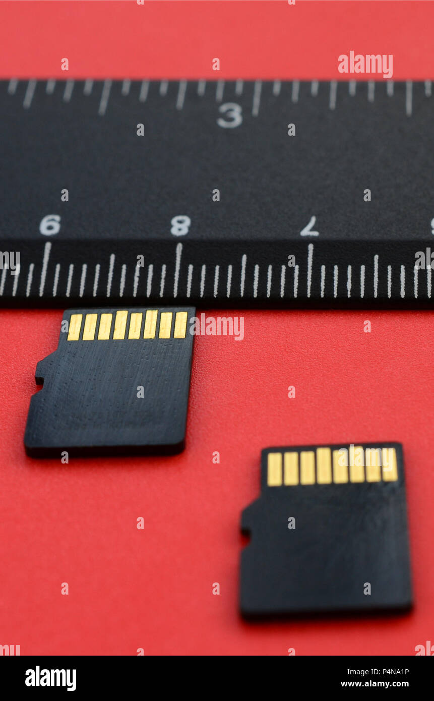 Due piccoli micro SD memory card giacciono su uno sfondo rosso accanto a un righello di nero. Un piccolo e compatto e i dati di archivio di informazioni . Foto Stock