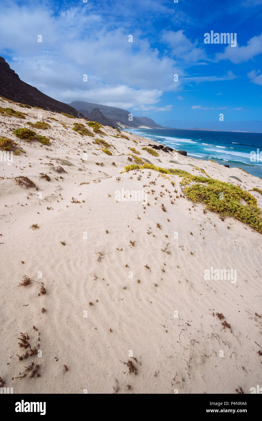 Dune di sabbia con alcune piante del deserto in uno splendido paesaggio desolato della costa atlantica. Baia das Gatas, a nord di Calhau, Sao Vicente Isola Capo Verde Foto Stock