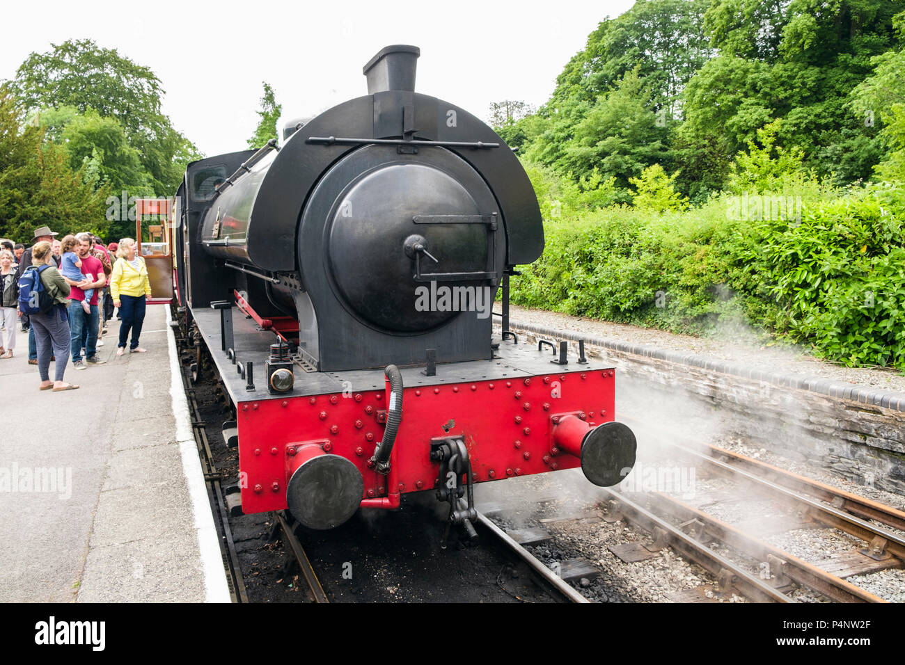 Treno a vapore il motore di Lakeside e Haverthwaite stazione ferroviaria nel Parco Nazionale del Distretto dei Laghi. Lakeside, Cumbria, Regno Unito, Gran Bretagna Foto Stock
