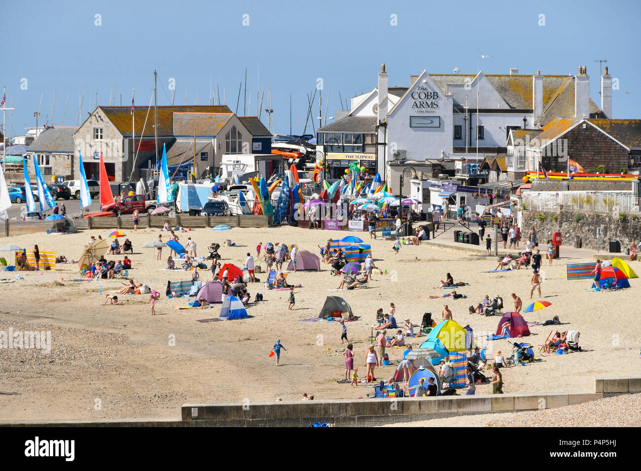 Lyme Regis, Dorset, Regno Unito. Il 23 giugno 2018. Regno Unito Meteo. Lucertole da mare sulla spiaggia godendosi il caldo sole di mattina alla stazione balneare di Lyme Regis nel Dorset. Credito Foto: Graham Hunt/Alamy Live News Foto Stock