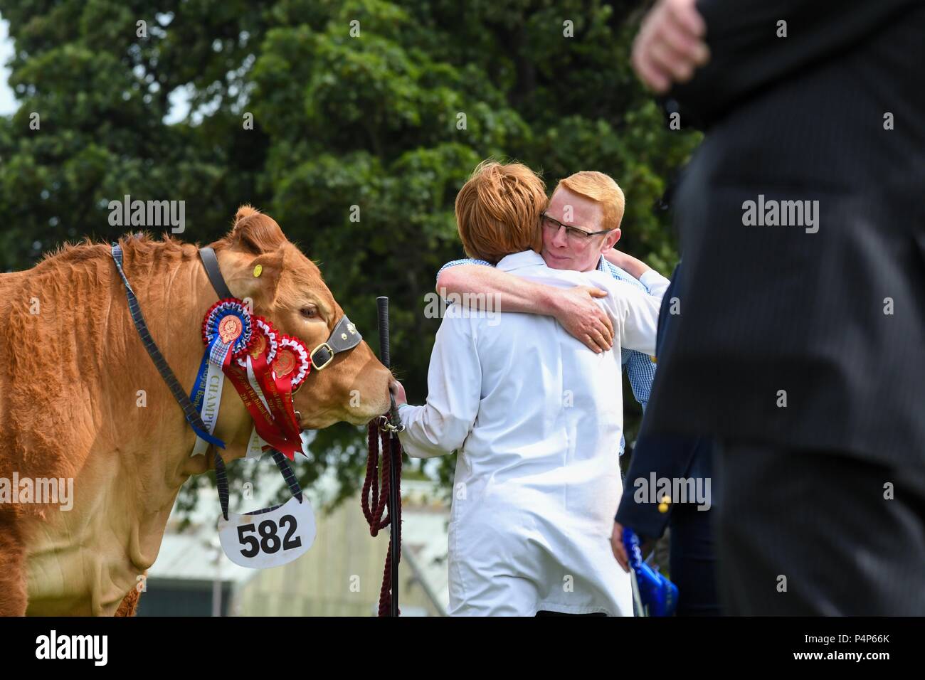 Edimburgo, Regno Unito, 23rd giugno 2018. Royal Highland Show, Edimburgo, Scozia: 23 giugno 2018: Festeggiamenti come Niaomi, un giovenca Limousin di Grahams Dairy è reso campione interbreed il terzo giorno del Royal Highland Show, Edinburgh Credit: Kay Roxby/Alamy Live News Foto Stock