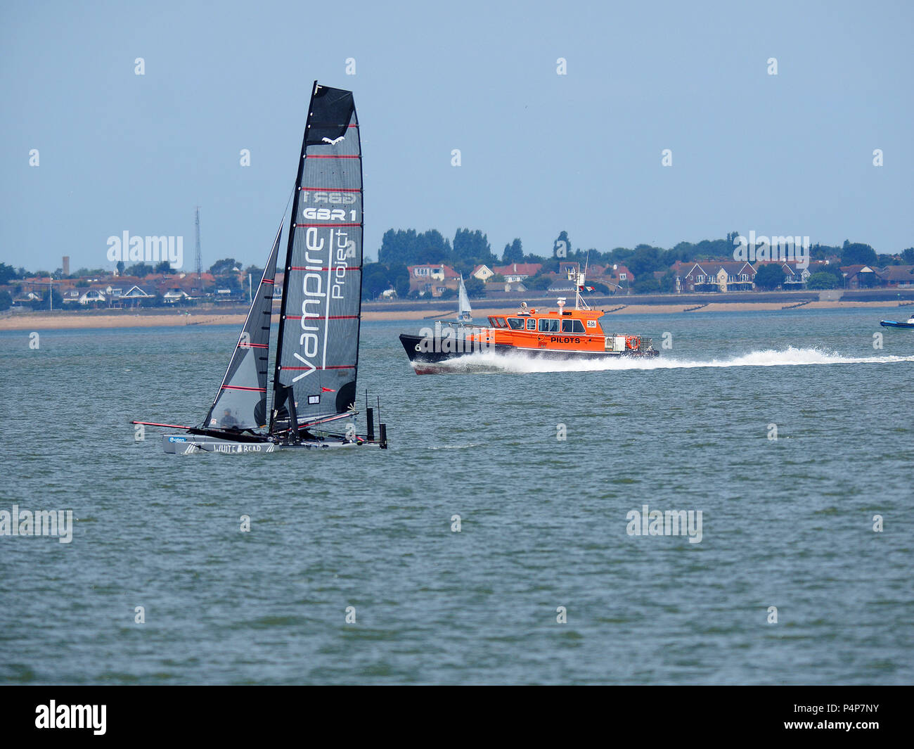 Sheerness, Kent, Regno Unito. Il 23 giugno, 2018. Nore regate nell'estuario del Tamigi si è tenuta annualmente a partire dal 1920, che inizia e termina da Southend Pier, Essex ed è una gara per derive, catamarani e yacht organizzato da Benfleet Yacht Club. Nella foto: la M20 vampiro progetto catamarano - un 20ft high performance sventando catamarano - di prendere parte alla gara di Nore. Le foto scattate da Sheerness sul lato sud dell'estuario. Credito: James Bell/Alamy Live News Foto Stock