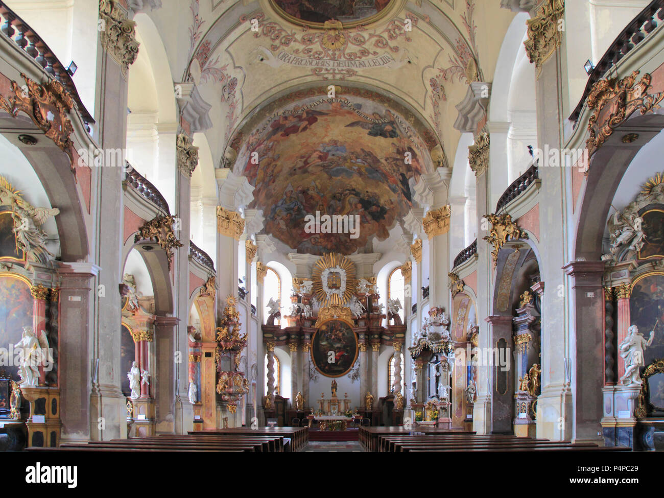 Repubblica ceca, Moravia, Olomouc, Madonna delle Nevi, chiesa, interno, Foto Stock