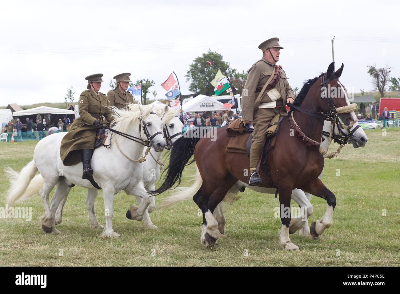 Gli animali in guerra, la prima guerra mondiale, vivere evento cronologia Foto Stock