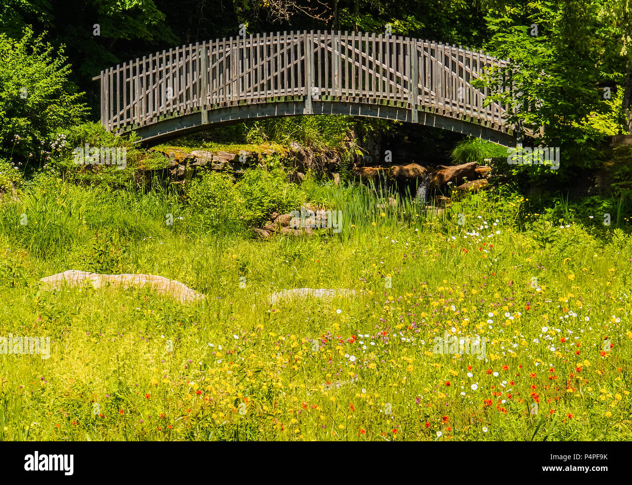 Ponte in legno sul ruscello con estate fiori selvatici in fiore nel campo Foto Stock