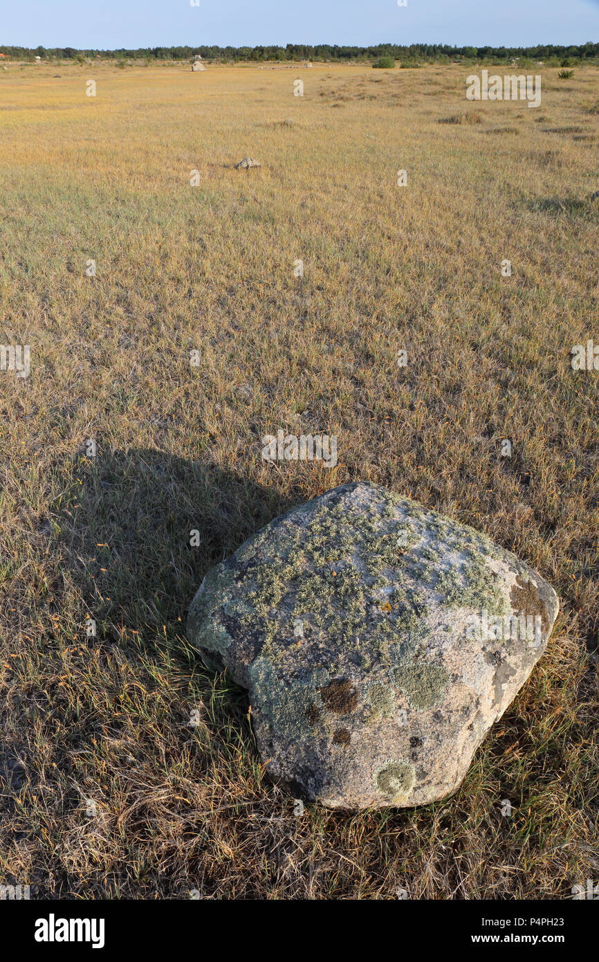 Il Lichen-coperto rock a praterie costiere a Byrum su öland in Svezia. Foto Stock