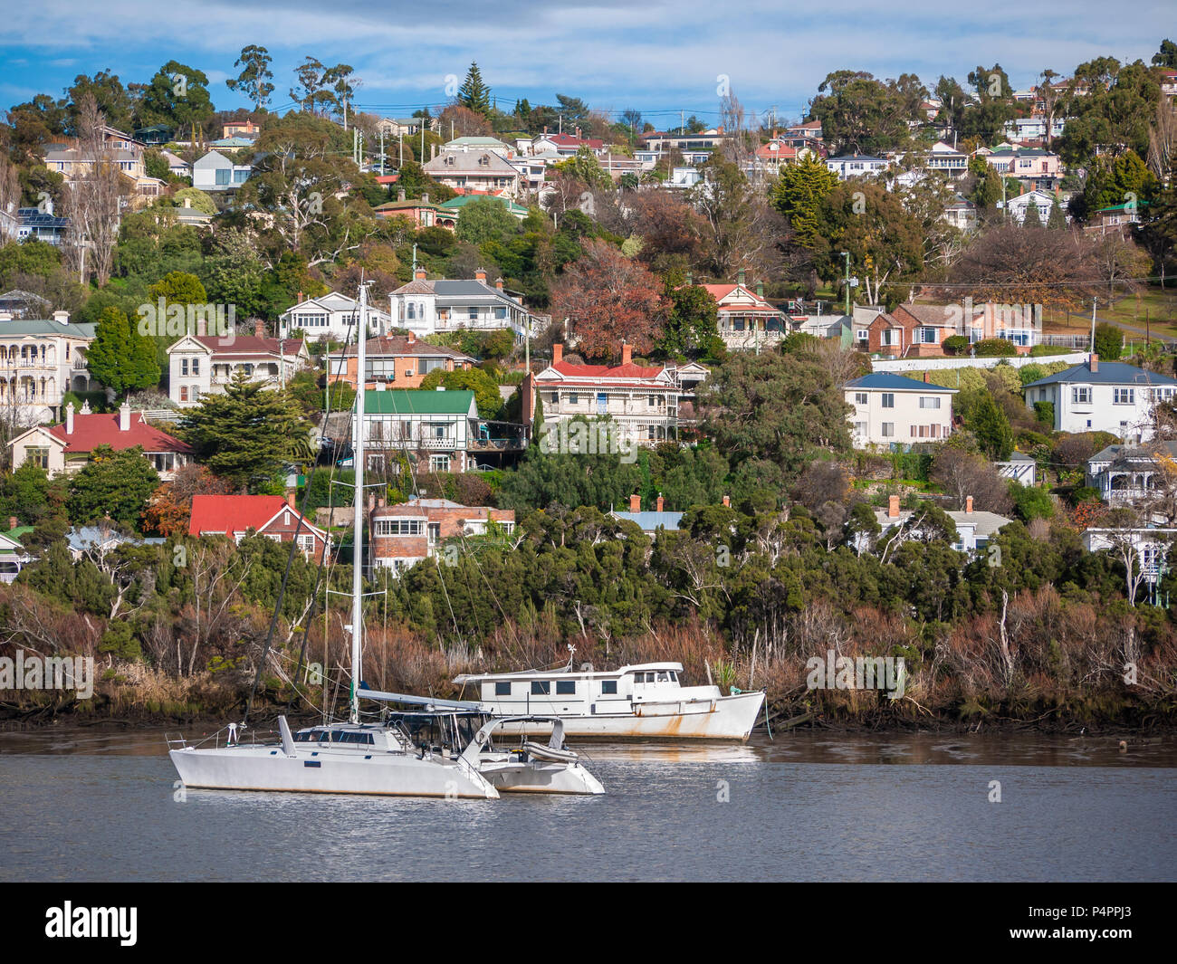 Vista dal parco reale di case residenziali vicino a Tamar River a Launceston. La Tasmania, Australia Foto Stock