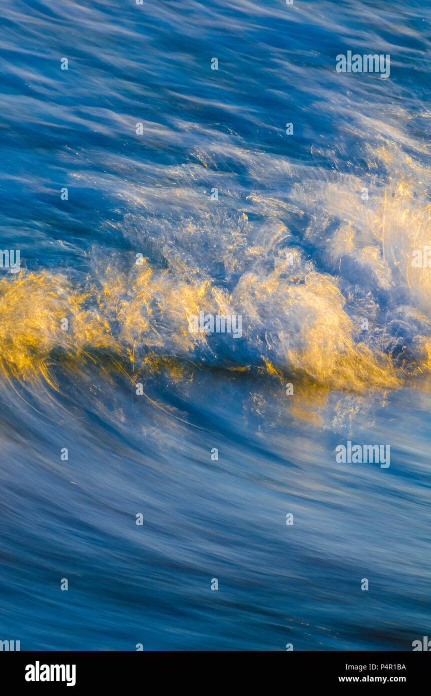 Il bagliore dorato della luce del sole mette in risalto l'acqua bianca di un'onda che si infrangeva contro il mare blu calmo Foto Stock