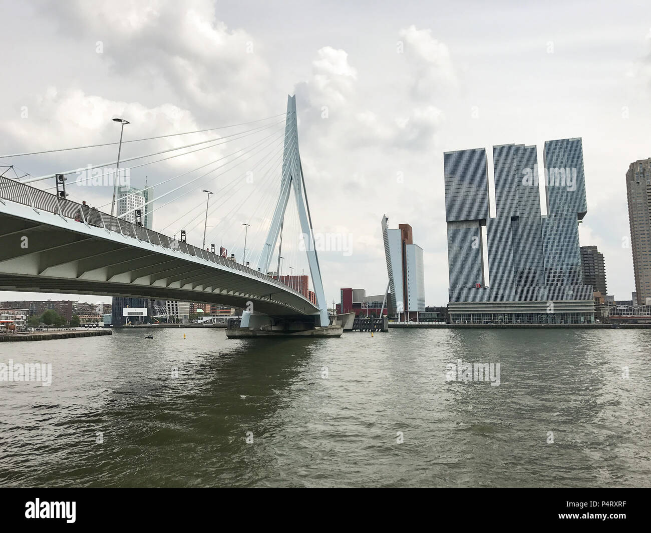 Rotterdam con il ponte Erasmusbrug, Paesi Bassi. Foto Stock