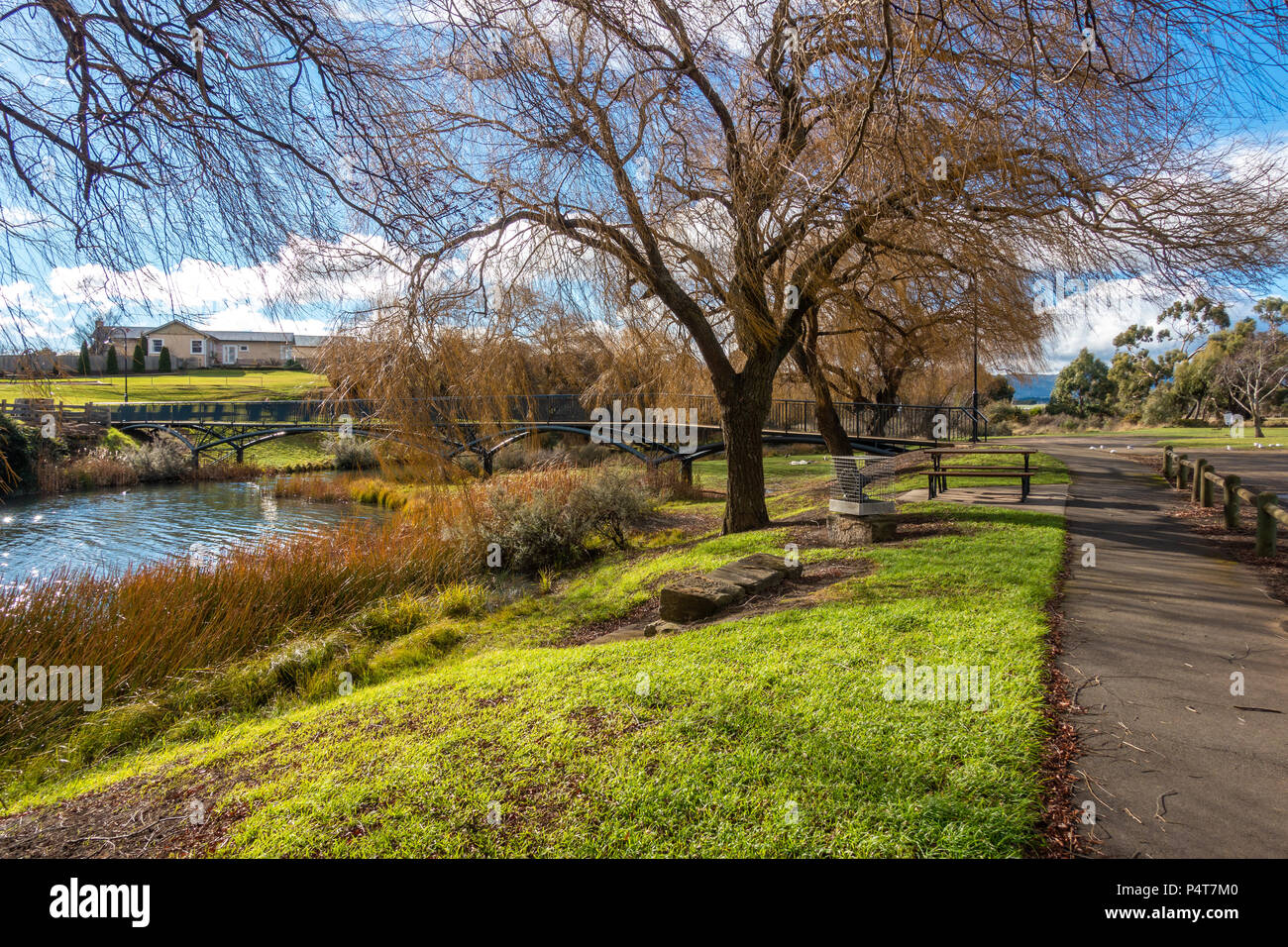 Argine del Fiume Elizabeth presso Campbell Town. La Tasmania, Australia Foto Stock