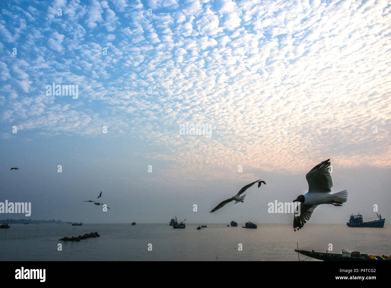 Bird e cielo al mattino situazione, Sittwe Myanmar Foto Stock