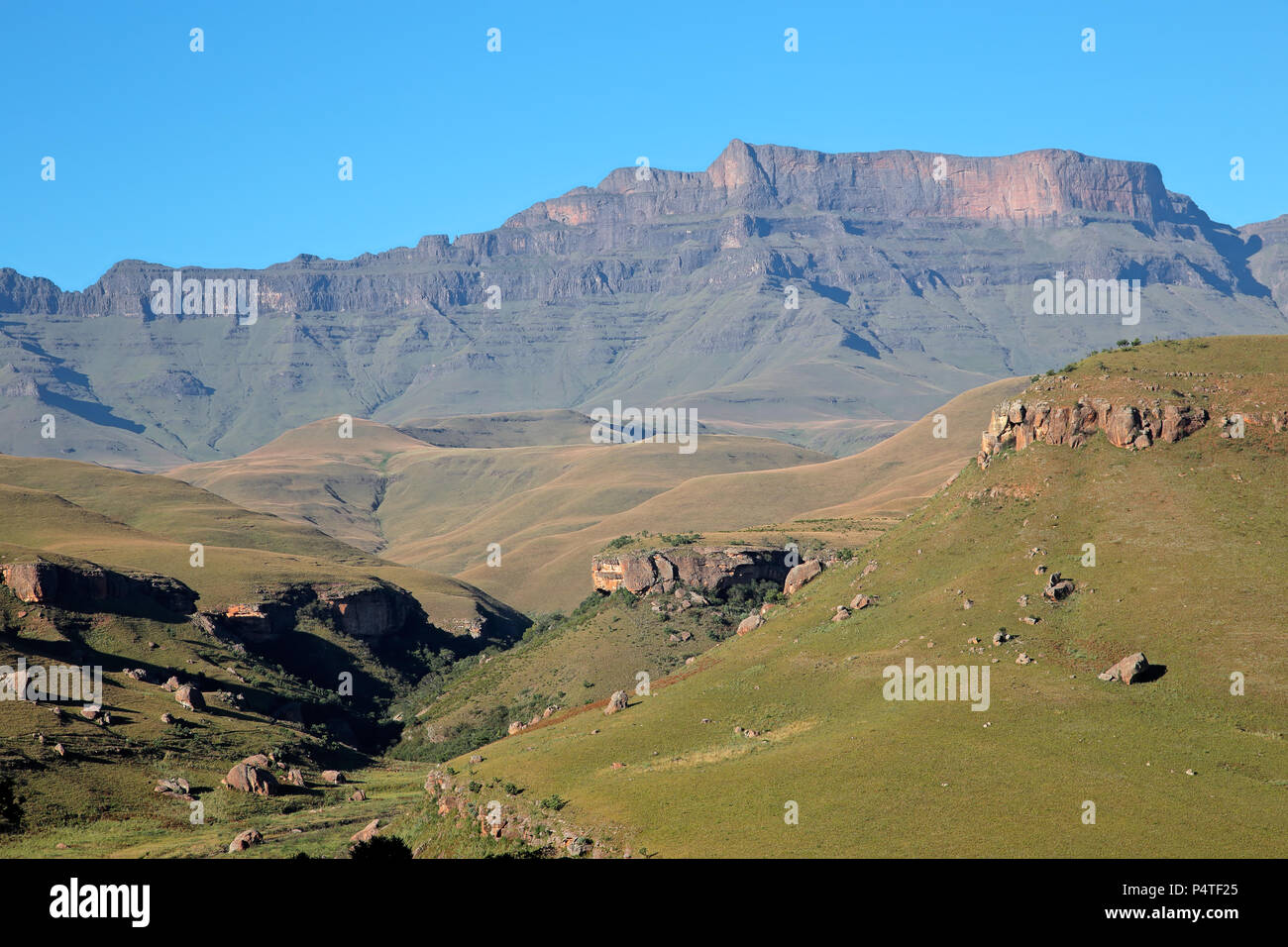 Scenic Drakensberg paesaggio di montagna, giganti Castle riserva naturale, Sud Africa Foto Stock