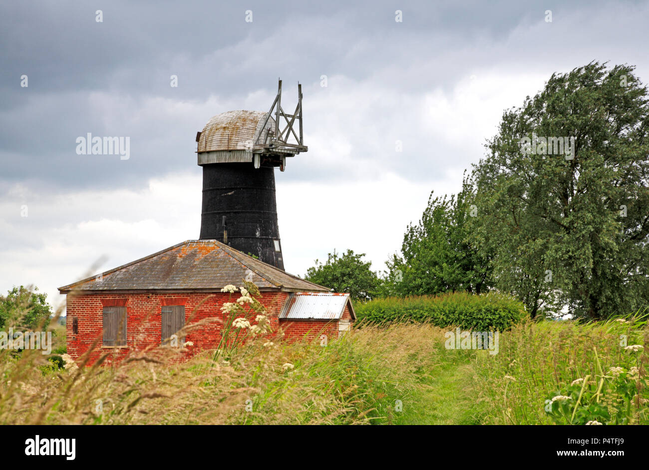 Un sentiero che conduce alla vecchia pompa house e alte mulino mulino di drenaggio su Upton paludi su Norfolk Broads in Upton, Norfolk, Inghilterra, Regno Unito, Europa. Foto Stock